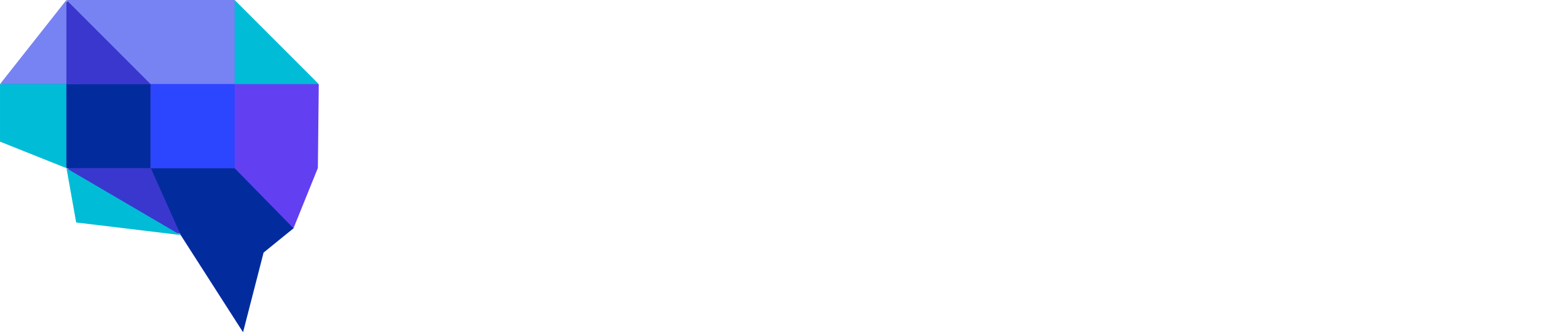 pymetrics logo white